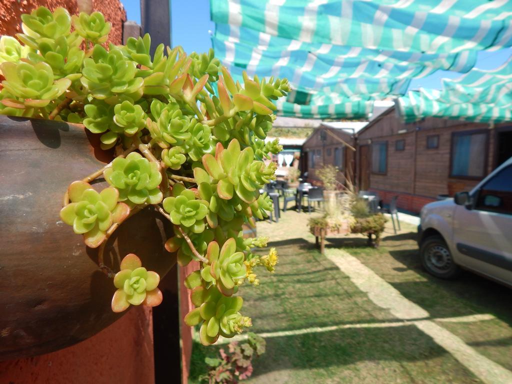Hostal del Suri Cafayate Exterior foto
